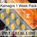 Kamagra 1 Week Pack new05